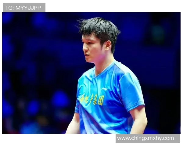 南京乒乓球队在联赛中的实力展现与未来发展潜力分析