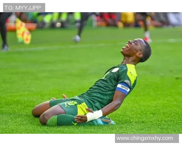 足球明星们热议马内的表现与影响力共同赞扬这位非洲足球巨星的卓越贡献